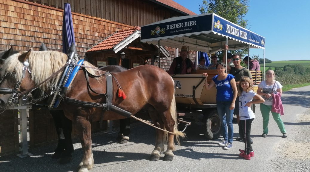 Pferdewagen von Rudolf Riedl